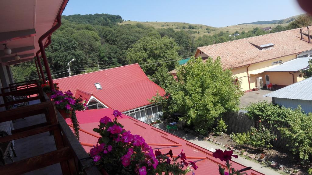Pensiunea Balan Пьятра-Нямц Экстерьер фото