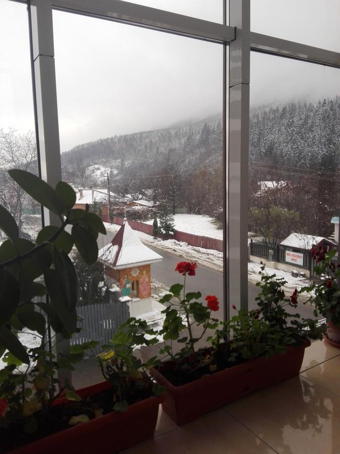 Pensiunea Balan Пьятра-Нямц Экстерьер фото